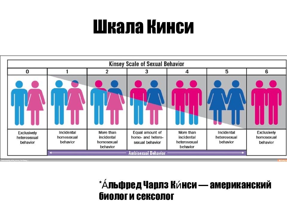 Тест на определение Вашей сексуальной ориентации по шкале Кинси