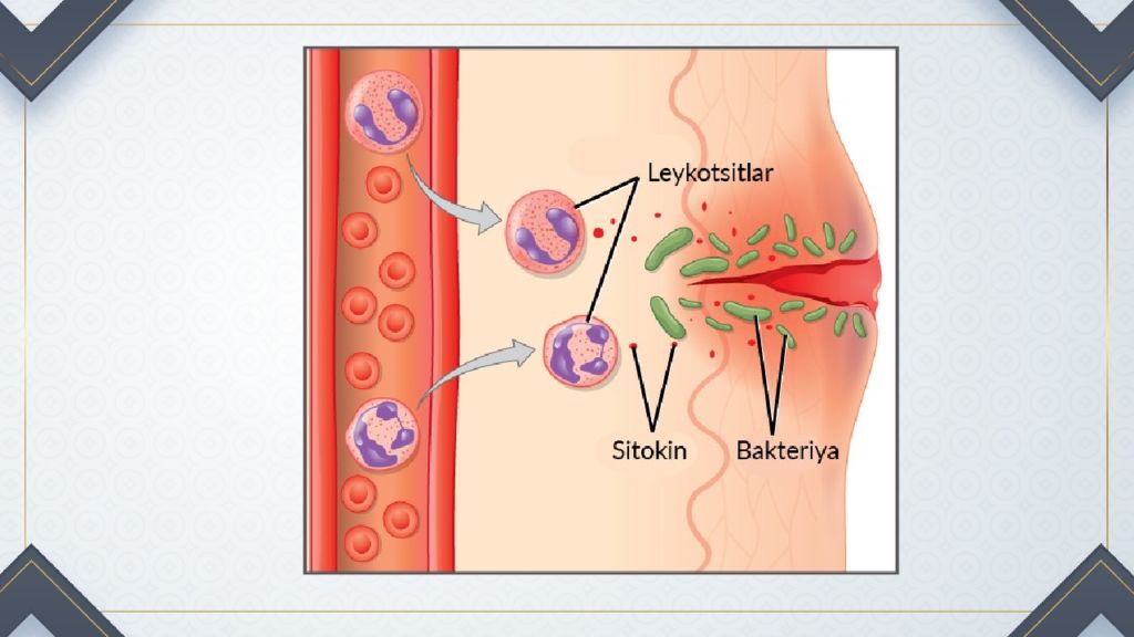 IMMUNITET haqida tushuncha va uning turlari IMMUNITET haqida tushuncha va uning turlari