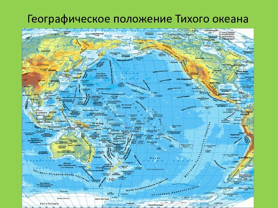 Какие заливы впадают в тихий океан