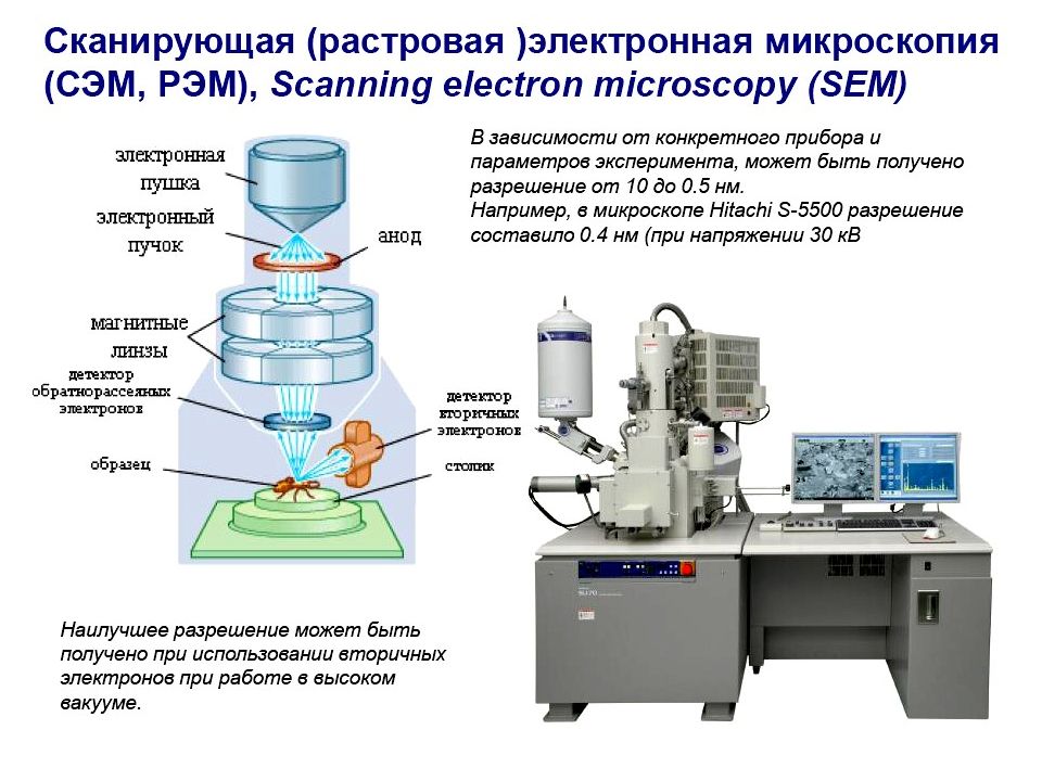 Электронная микроскопия презентация