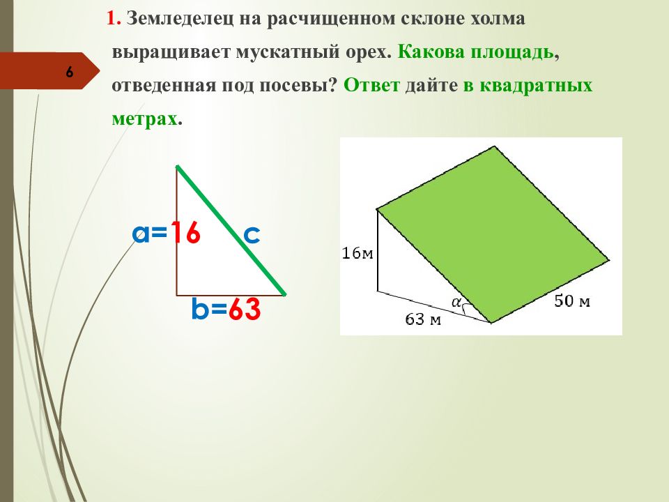 Земледелец выращивает мускатный орех какова. ОГЭ холмы. Землевладелец на расчищенном склоне холма выращивает мускатный орех. Задача про склон ОГЭ. Как найти площадь склона холма.