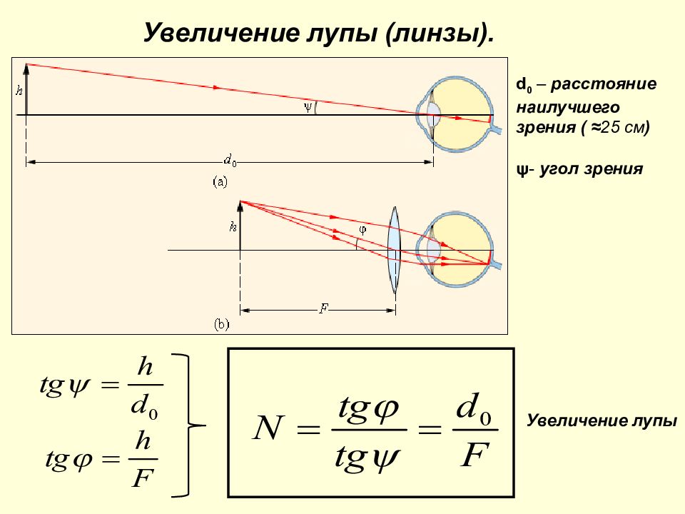 Увеличение лупы формула