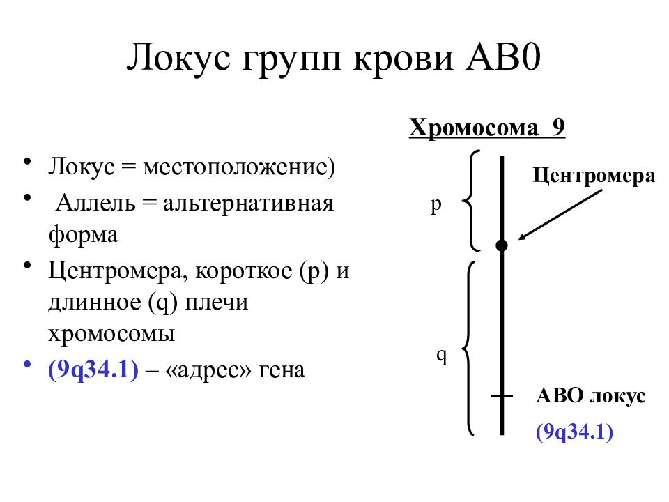 Сайт локуса. Аллельные гены Локус. Строение хромосомы Локус. Локусы хромосом. Генетический Локус.