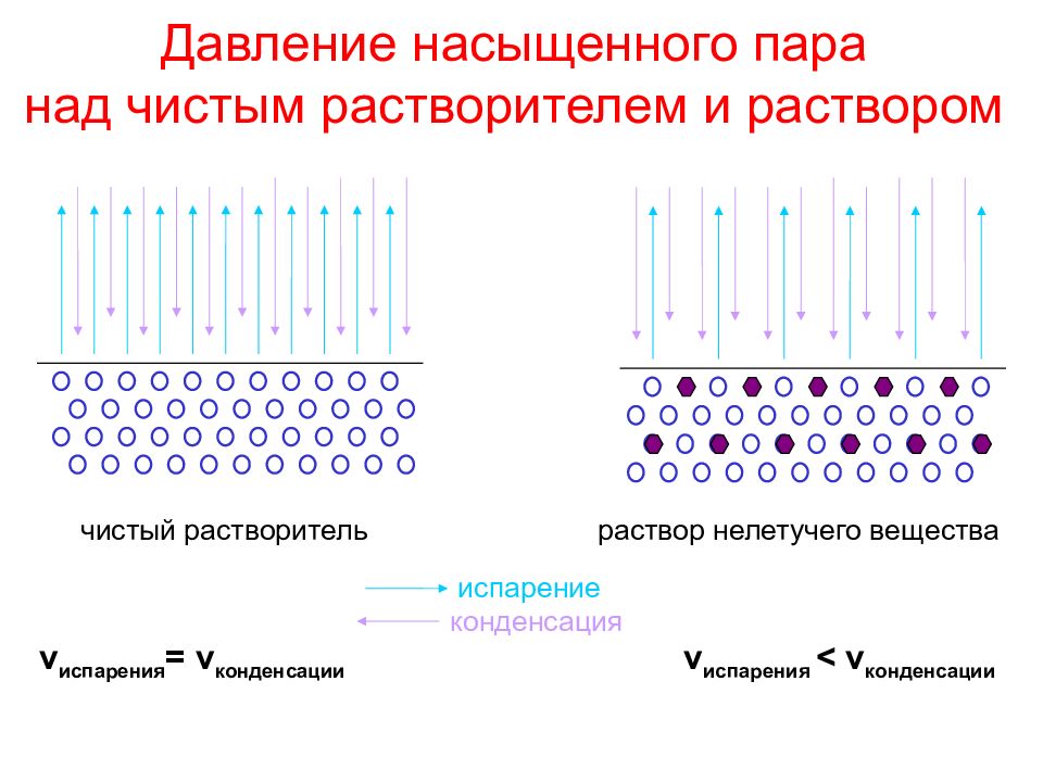 Давление насыщенного пара. Давление насыщенного пара над чистым растворителем. Давление насыщенного пара над раствором. Давление насыщенного пара растворителя над раствором. Давление насыщенного пара над растворами нелетучих веществ..