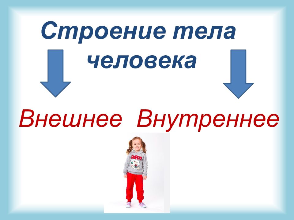 Стр классу. Я человек 3 класс. Презентация строение тела человека 3 класс перспектива. Человек 3 класс.