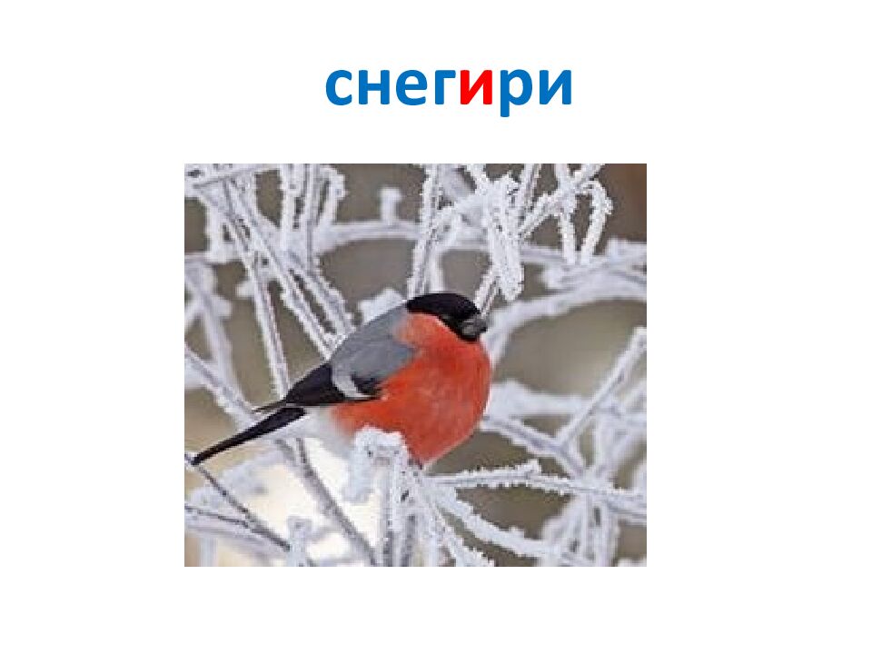 Проект «Пишем письмо Деду Морозу»