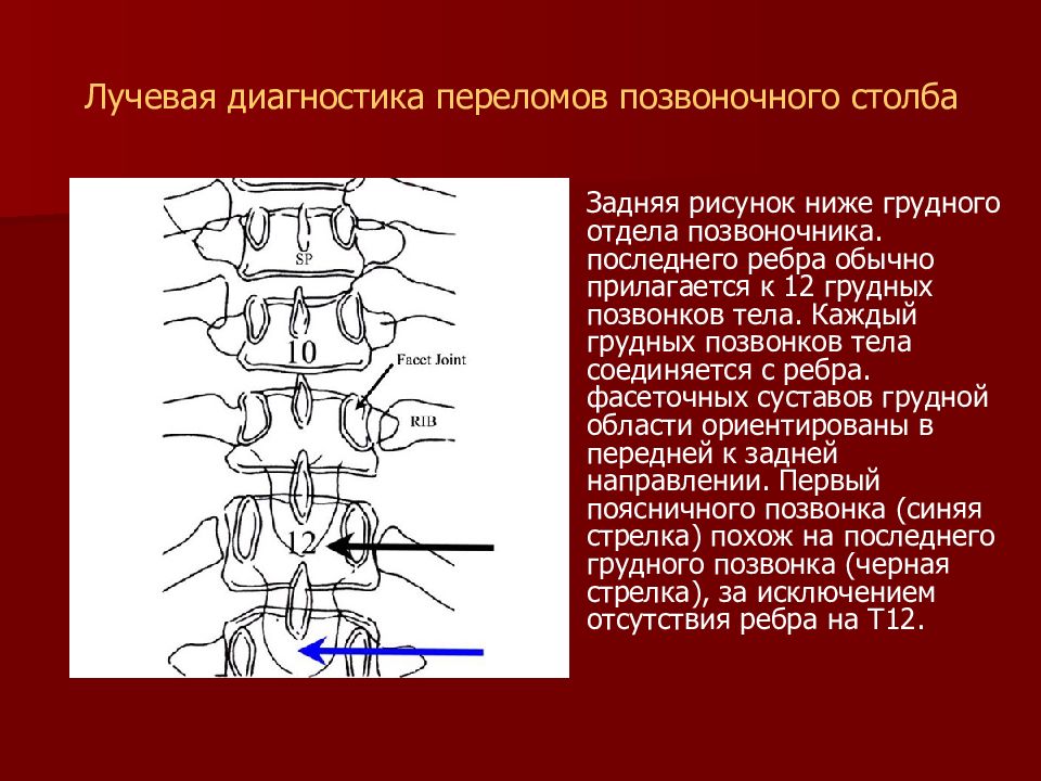 От изображения к диагнозу