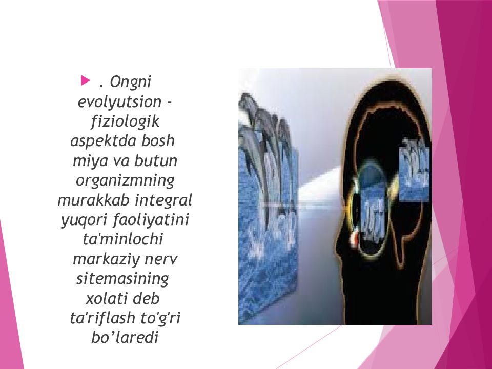 Ong haqida xozirgi zamon tasavurlari Ong haqida xozirgi zamon tasavurlari