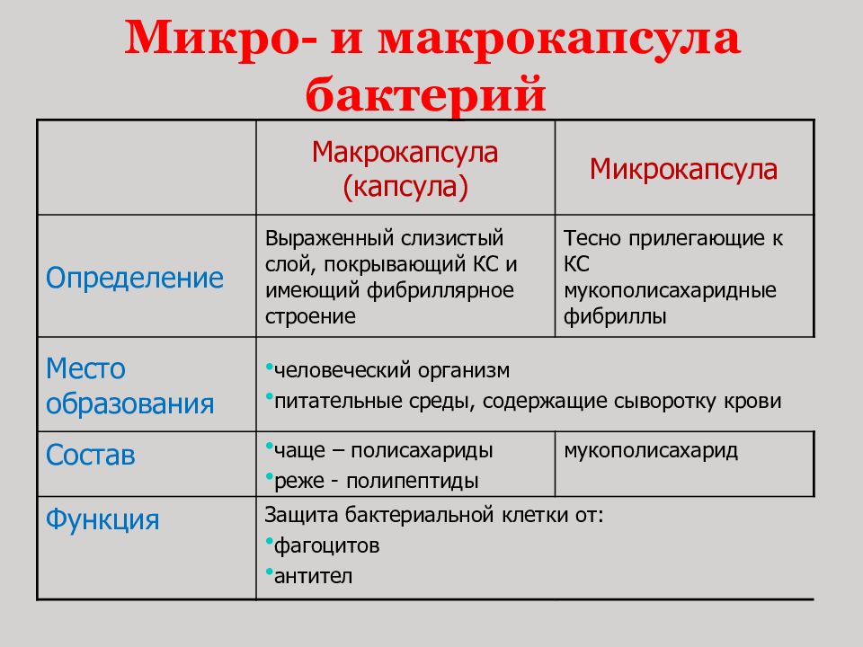 Структура бактериальной клетки микробиология презентация