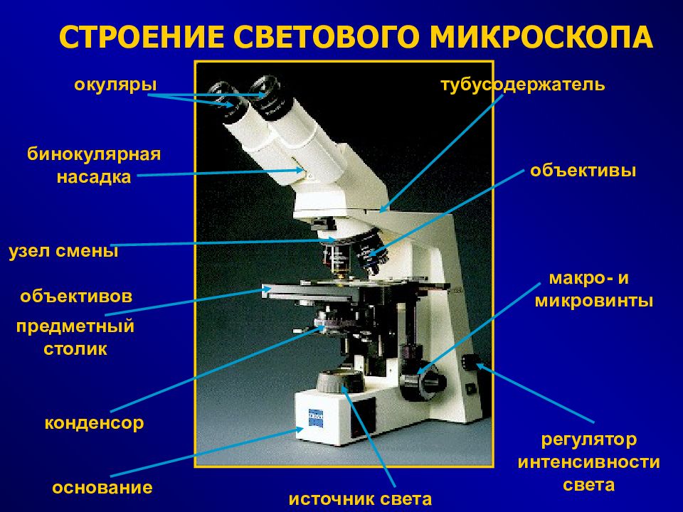Как называются части цифрового микроскопа. Световой микроскоп строение конденсор. Строение микроскопа тубусодержатель. Строение бинокулярного микроскопа схема. Строение светового микроскопа гистология.