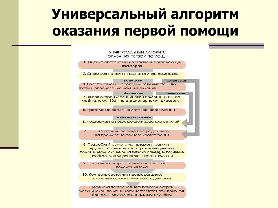 Укажите первое действие согласно универсальной схемы оказания первой помощи на месте происшествия