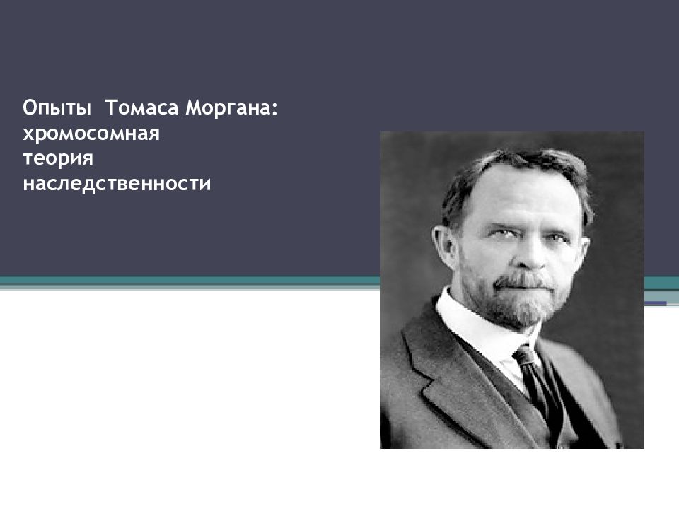 Хромосомная теория Томаса Моргана. Теория наследственности Моргана. Опыты Томаса Моргана.