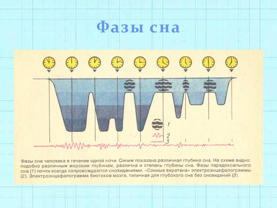 В какой фазе