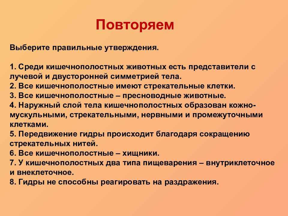 Среди утверждений. Общая характеристика кишечнополостных. Основные черты кишечнополостных. Характеристика кишечнополостных червей. Общие черты кишечнополостных.