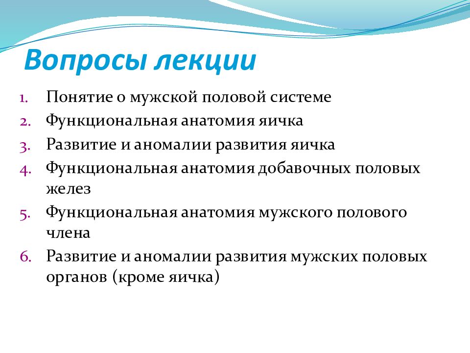 Что такое мужской половой. Аномалии развития яичка анатомия.