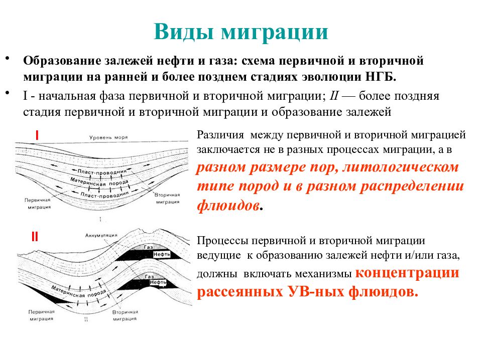 Геохимия нефти и газа. Миграция ув нефти и газа. Первичная и вторичная миграция нефти и газа. Миграция и аккумуляция нефти и газа. Основные понятия о миграции нефти и газа.