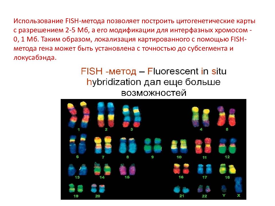 Карты хромосом. Генетическое картирование хромосом. Цитогенетический метод построения генетических карт. Методы цитогенетического картирования генов. Методы картирования хромосом человека.