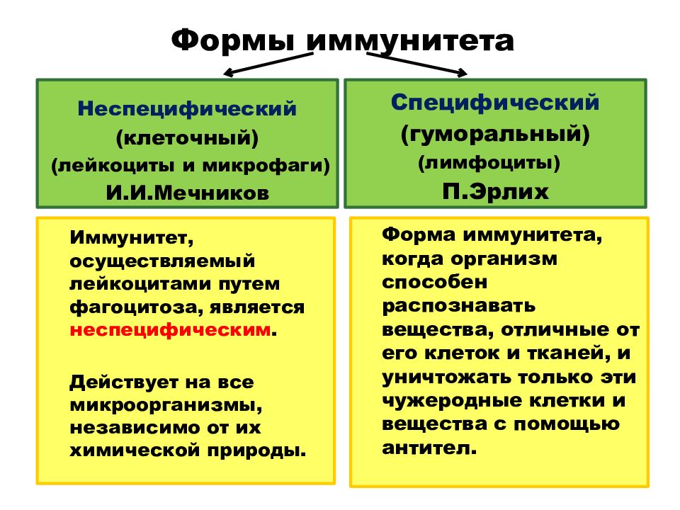 Специфический иммунитет презентация