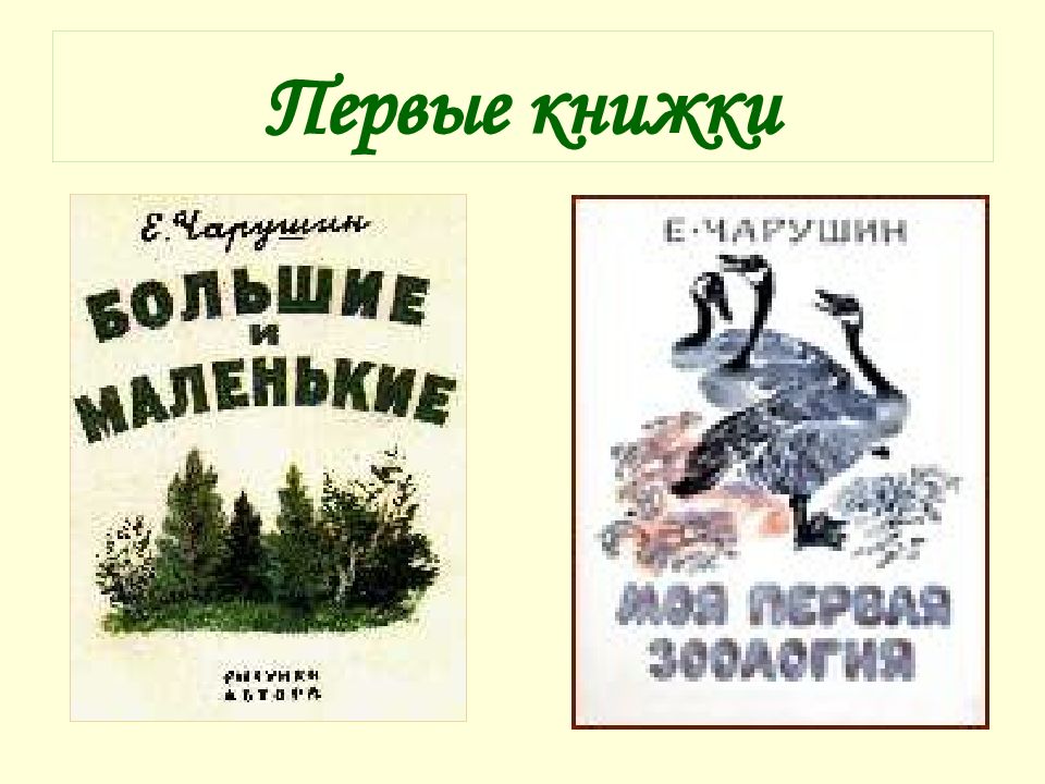 Чарушин о природе. Детский писатель Чарушин. Книги Чарушина для детей. Е Чарушин книги. Чарушин книги для детей.