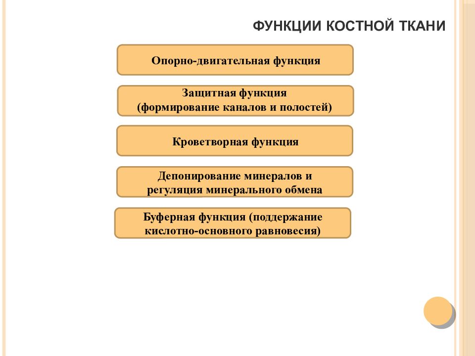 Биохимия костной ткани презентация