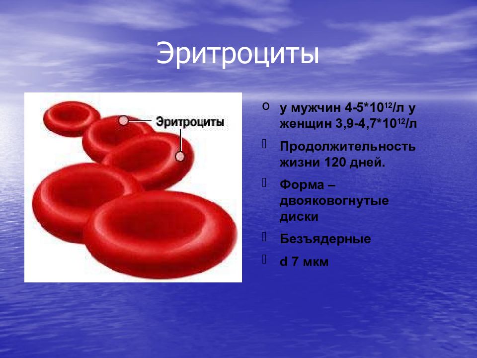 3 4 эритроцита человека. Форма эритроцитов. Эритроциты форма и строение. Эритроциты презентация. Эритроциты слайд.