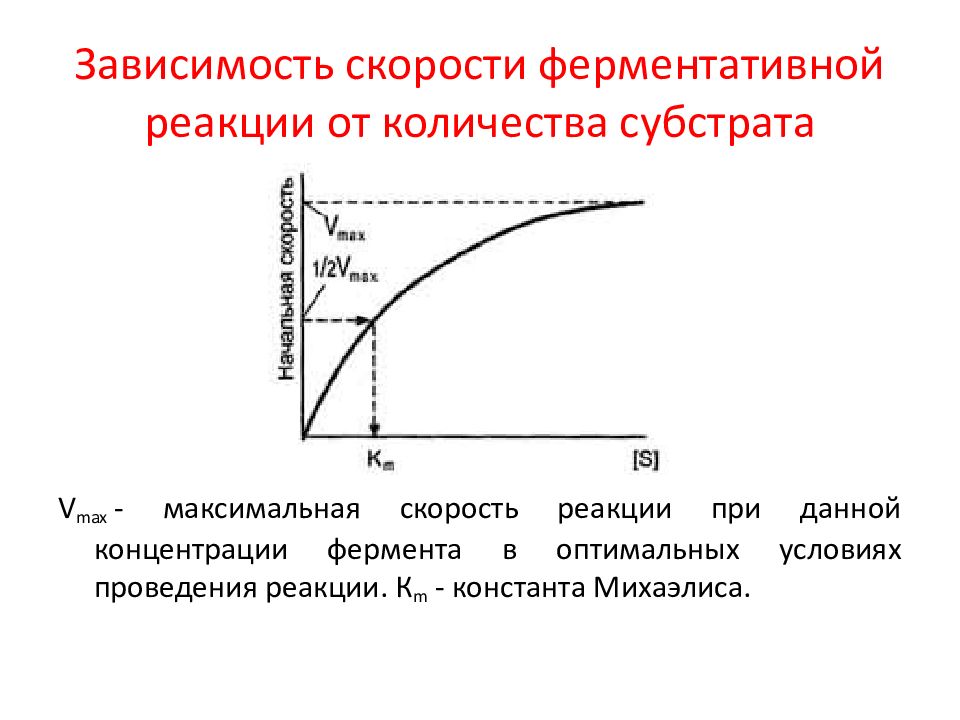Зависимость скорости ферментативной реакции от рн. Зависимость скорости ферментативной реакции от количества субстрата. Зависимость скорости ферментативных реакций от субстрата. График активности фермента от концентрации субстрата. График зависимости скорости реакции от концентрации субстрата.