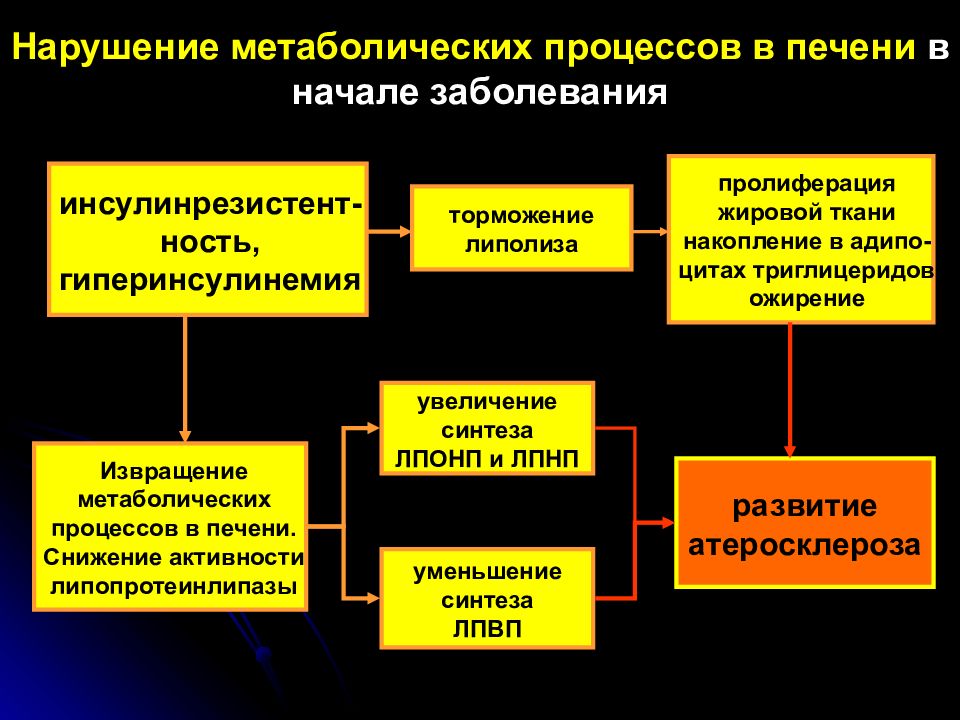 Процессы метаболизма в печени. Патогенез метаболического синдрома. Метаболические нарушения печени. Метаболические механизмы развития болезни.