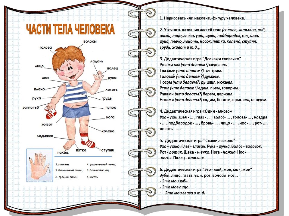 Презентация человек подготовительная группа