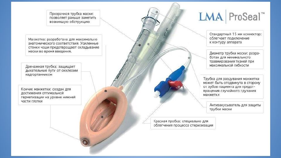 Трудные дыхательные пути в анестезиологической практике. Difficult Airway