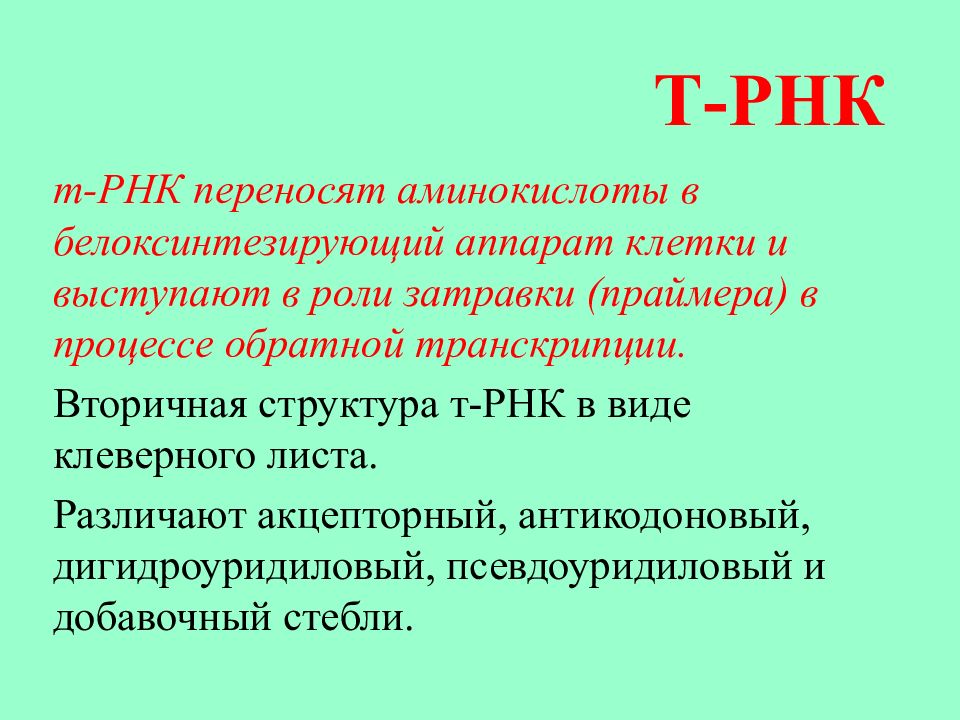 Необходимые для синтеза белка аминокислоты. Т РНК. Переносит аминокислоты. В цитоплазме есть т-РНК, аминокислоты и. Какие виды РНК переносят аминокислоты.