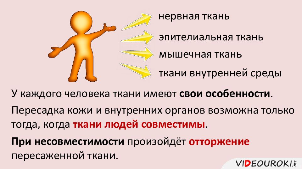 Тканевая совместимость