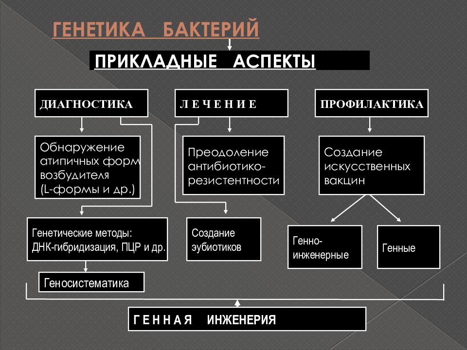 Генетика микроорганизмов микробиология презентация