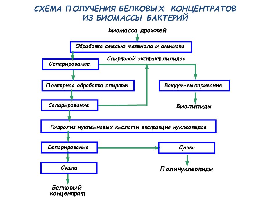 Схема микробиологического синтеза аминокислот