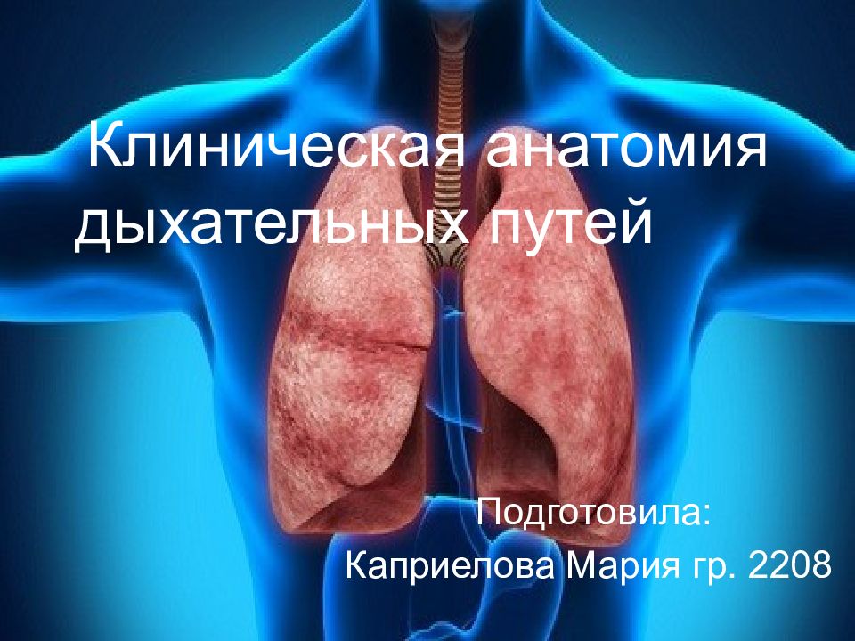Клиническая анатомия дыхательных путей