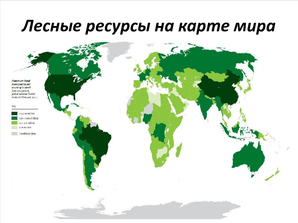 География 10 класс презентация лесные ресурсы мира