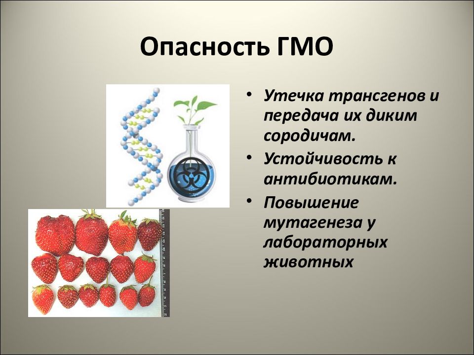 Мутагены их влияние на здоровье человека презентация