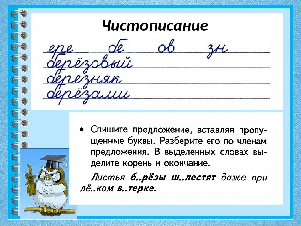 Русский язык классная работа. Чистописание 3 класс русский язык школа России. Чистописание 4 класс образцы. Чистописание 3 класс образцы. Каллиграфия 3 класс.