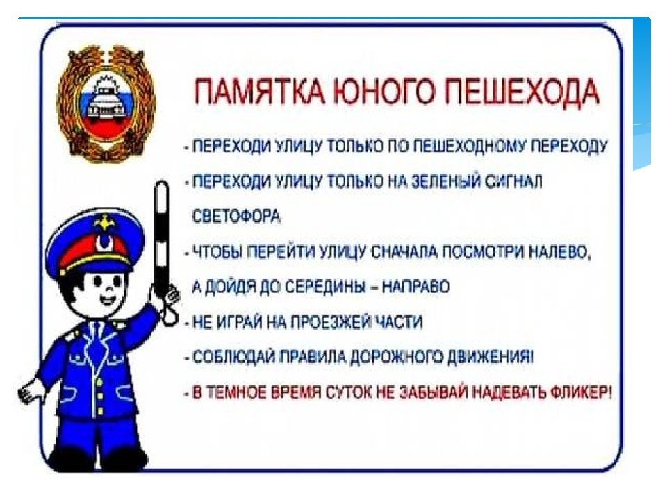 Правила пешехода картинки