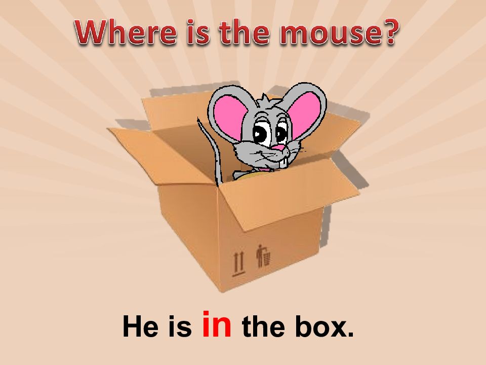 He takes the box