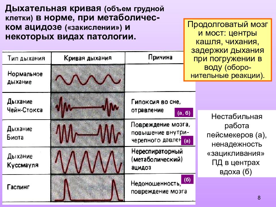 Нормальное дыхание. Кривая дыхания. Кривая нормального дыхания. Виды нормального дыхания. Виды дыхательных кривых.