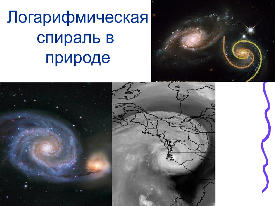 Логарифмическая спираль в природе. Логарифмы в астрономии. Галактика логарифмическая спираль. Логарифмическая спираль в астрономии. Логарифмическая спираль в космосе.