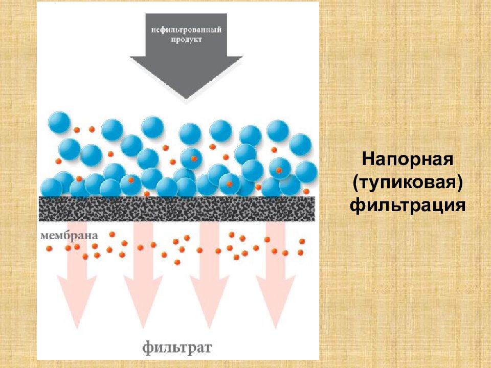 Фильтрация через. Тупиковая и тангенциальная фильтрация. Мембраны для тупиковой фильтрации. Тупиковая фильтрация. Тупиковая фильтрация воды.