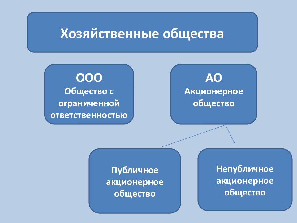 Правовая форма акционерное общество. Виды хозяйственных обществ. Хозяйственные общества ООО. Виды экономических обществ. Количество участников хозяйственного общества.