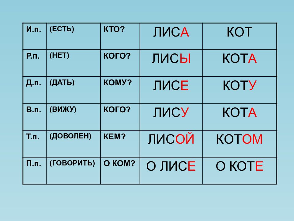 3 склонение имен существительных презентация