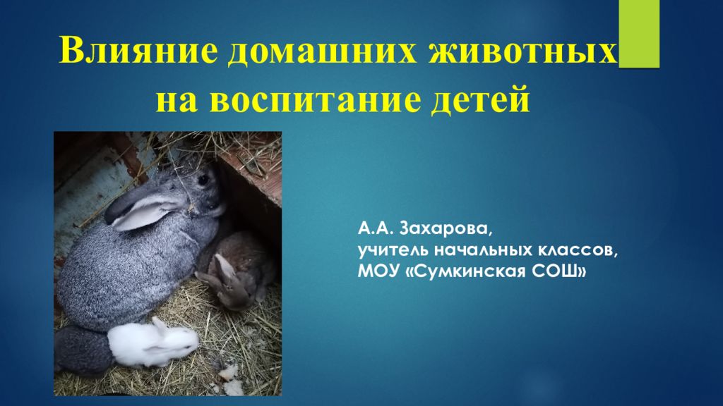 Влияние домашних животных на воспитание детей А.А. Захарова, учитель начальных