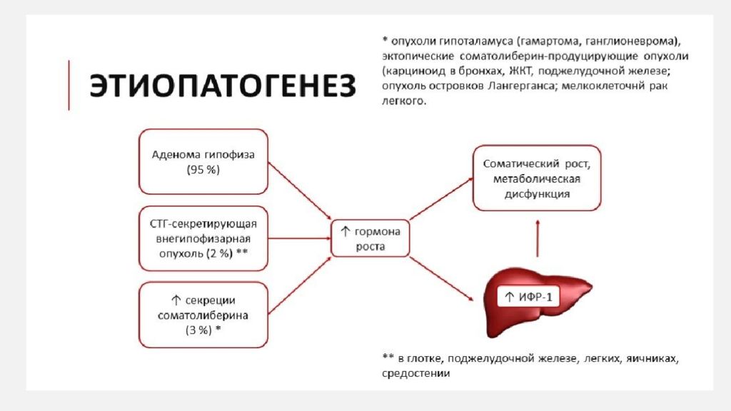 Акромегалия патофизиология презентация