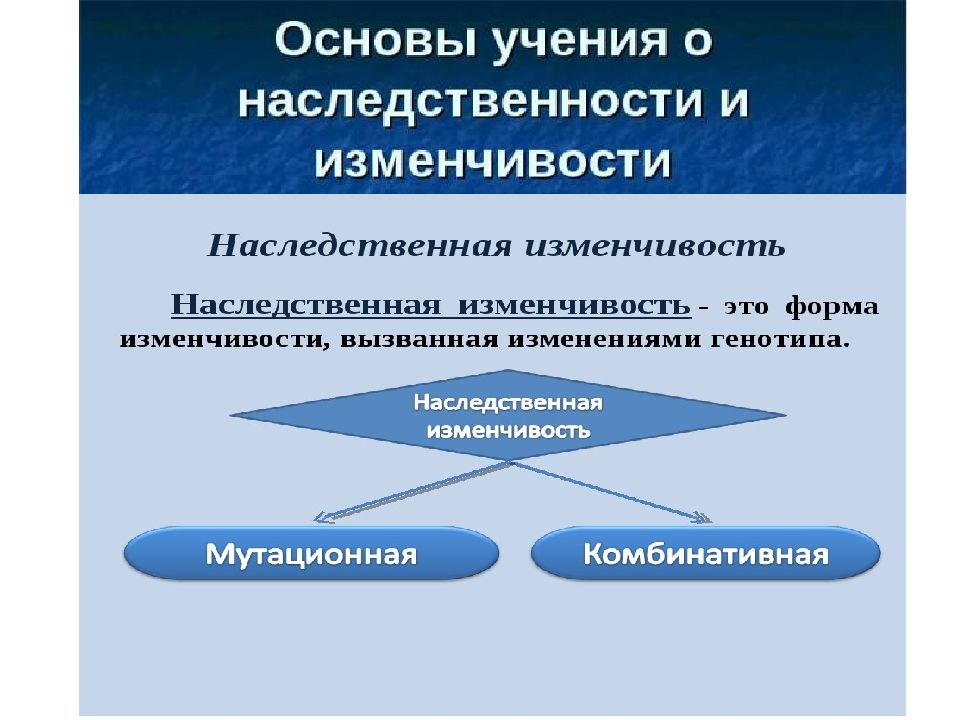 Наследственная изменчивость презентация 10 класс