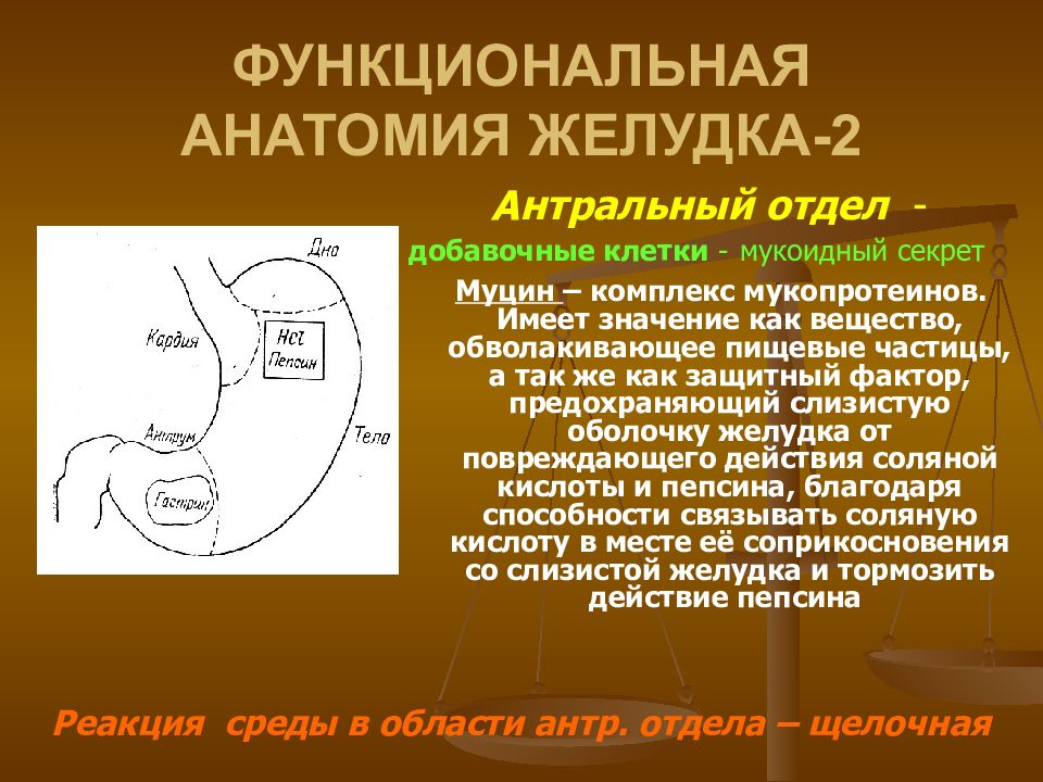 Жкт нсп. Nsp схема реабилитации жкт. Межпищеварительный период это. Заболевания желудка и кишечника. Восстановление флоры кишечника.