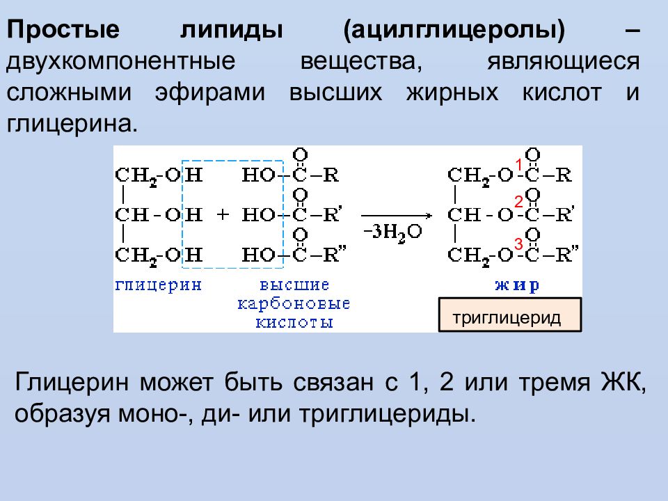 Простые липиды презентация