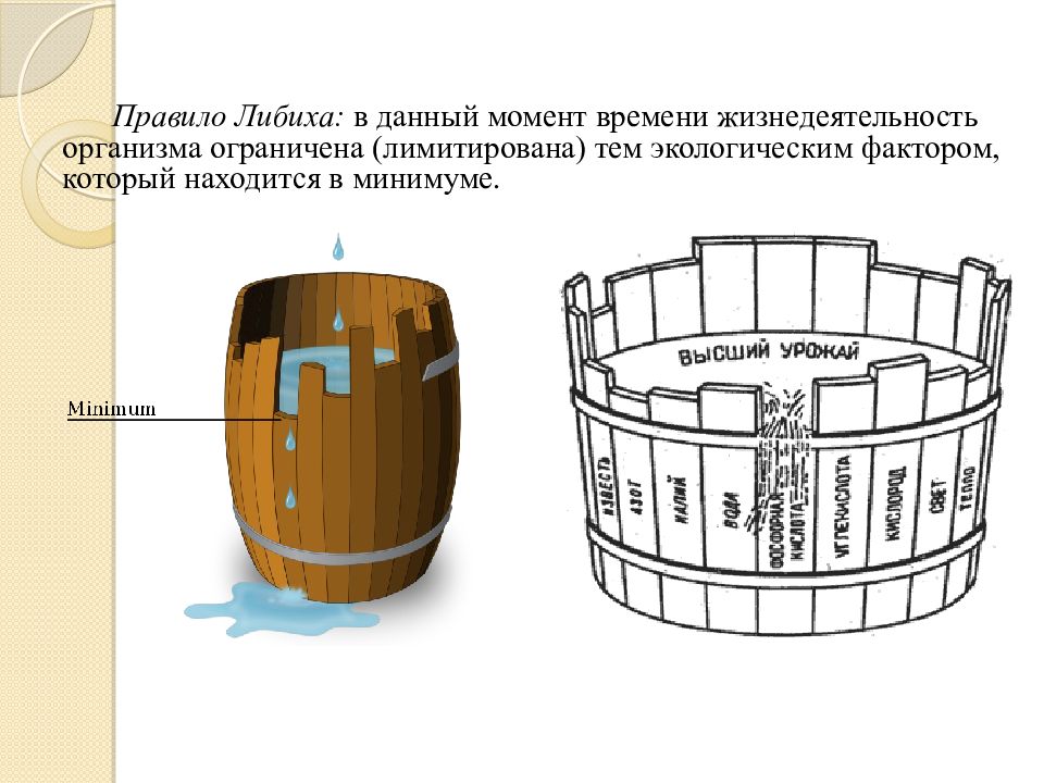 Закон минимума либиха презентация